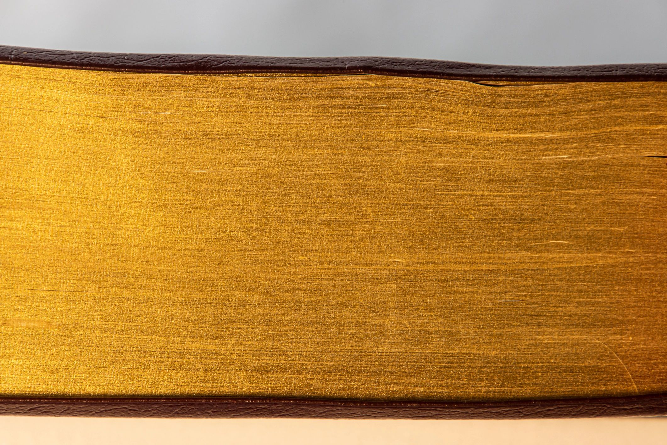 Close-up of book pages with golden edges